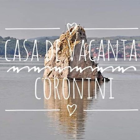 Casa De Vacanta Danube Moldova Noua Экстерьер фото